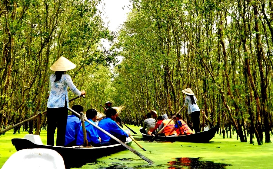 Phương tiện để du khách tham quan rừng tràm là những chiến xuồng nhỏ