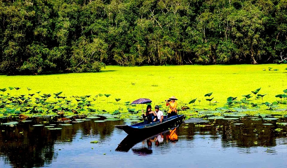 Khung cảnh thơ mộng rừng tràm Trà Sư