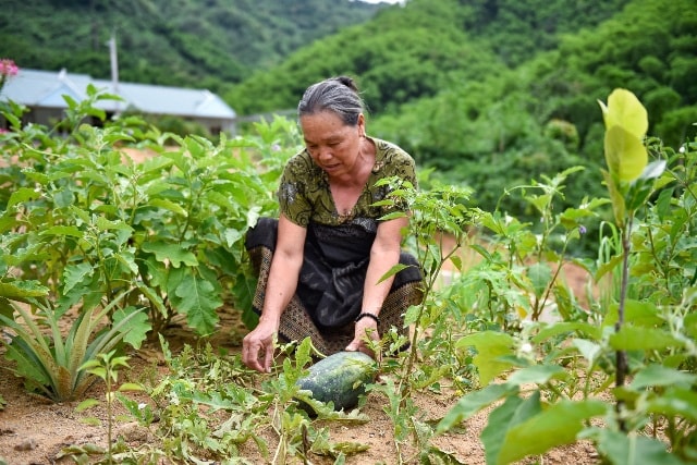 Tiếp cận dự án nông nghiệp dinh dưỡng, người dân bản Sa Ná nâng cao nhận thức trong sử dụng thực phẩm không bị lãng phí. Tiếp cận dự án nông nghiệp dinh dưỡng, người dân bản Sa Ná nâng cao nhận thức trong sử dụng thực phẩm không bị lãng phí.