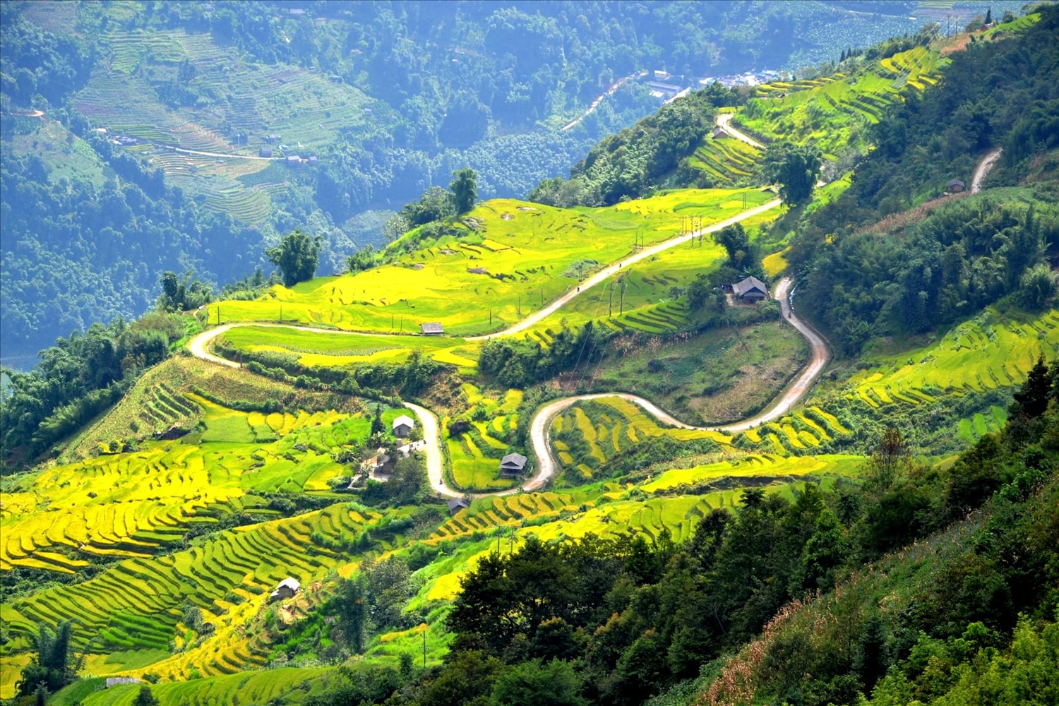 Con đường bê tông dẫn lên Ngải Thầu Thượng như dải lụa vắt ngang qua những cánh đồng lúa Con đường bê tông dẫn lên Ngải Thầu Thượng như dải lụa vắt ngang qua những cánh đồng lúa