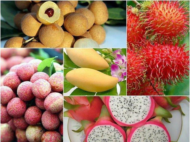 Nhiều rau, quả nông sản của Việt Nam được xuất khẩu sang thị trường EU (Ảnh minh họa)