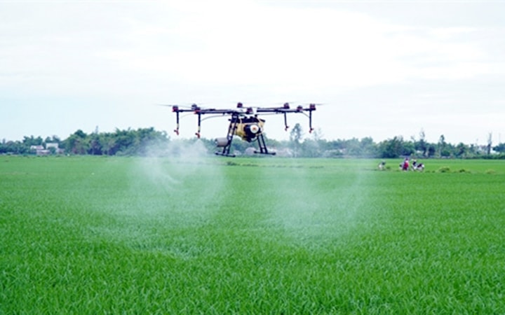 Sử dụng thiết bị bay drone phun thuốc trừ sâu trên cánh đồng Vĩnh Xuân, xã Bình Trung, huyện Thăng Bình (Quảng Nam). Ảnh: THỤY NHI Sử dụng thiết bị bay drone phun thuốc trừ sâu trên cánh đồng Vĩnh Xuân, xã Bình Trung, huyện Thăng Bình (Quảng Nam). Ảnh: THỤY NHI