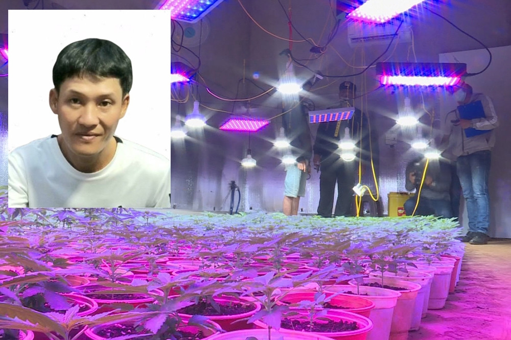 Hồ Thanh Phong (ảnh nhỏ) và hiện trường toàn bộ số cần sa tại nhà đối tượng đã được lực lượng chức năng thu giữ. (Ảnh do Công an tỉnh Đắk Lắk cung cấp)