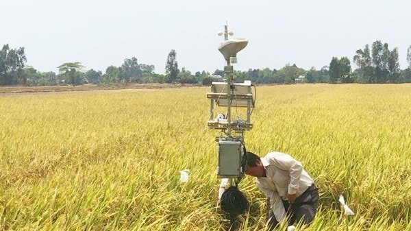 Máy cảm biến Khí tượng Thủy văn được đặt miễn phí tại cánh đồng lớn ở phường Tân Hưng (quận Thốt Nốt, TP. Cần Thơ). 
