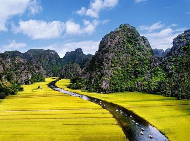 Ảnh minh họa