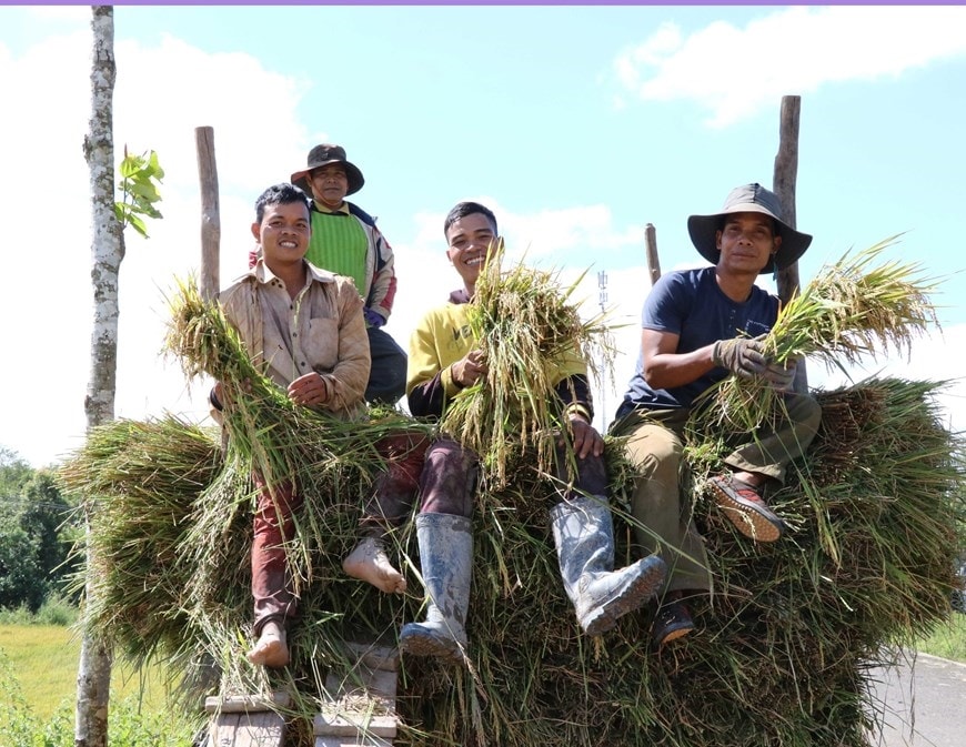 Bà con dân tộc Jrai mừng vui vì được mùa. (Ảnh: Hồng Điệp/TTXVN)