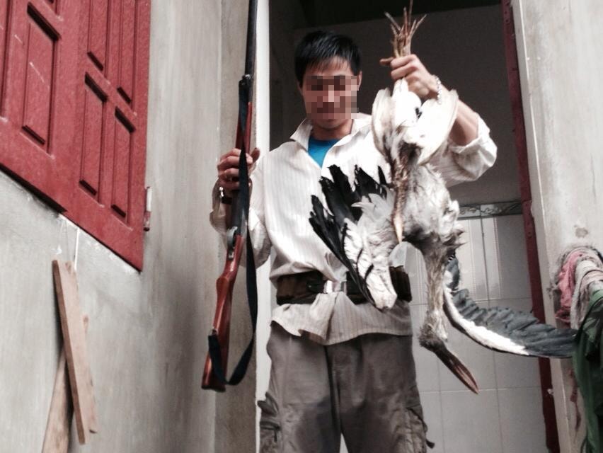 Thanh niên khoe chiến lợi phẩm vừa bắn được là nột con giang có cánh dài 1m Thanh niên khoe chiến lợi phẩm vừa bắn được là nột con giang có cánh dài 1m
