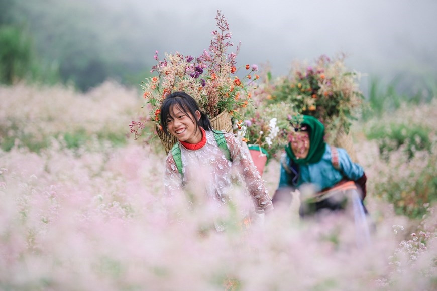 Cao nguyên đá Đồng Văn, Hà Giang trập trùng hùng vĩ, tráng lệ nhưng cũng vô cùng mềm mại, duyên dáng nhờ vào những sắc hoa xen đá. (Ảnh: PV/Vietnam+)