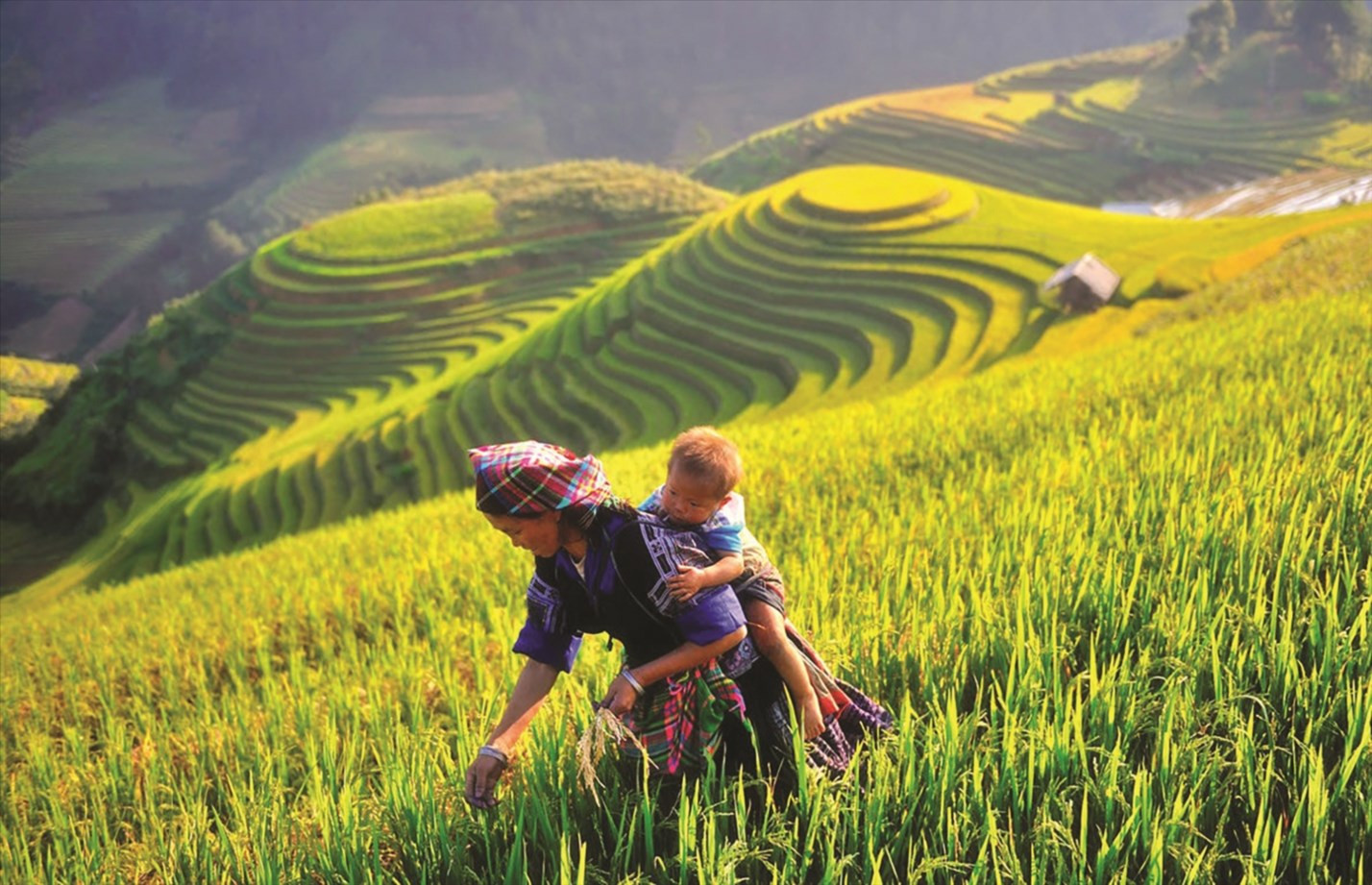 Văn hóa được coi là “mỏ vàng” trong phát triển du lịch ở Yên Bái Văn hóa được coi là “mỏ vàng” trong phát triển du lịch ở Yên Bái