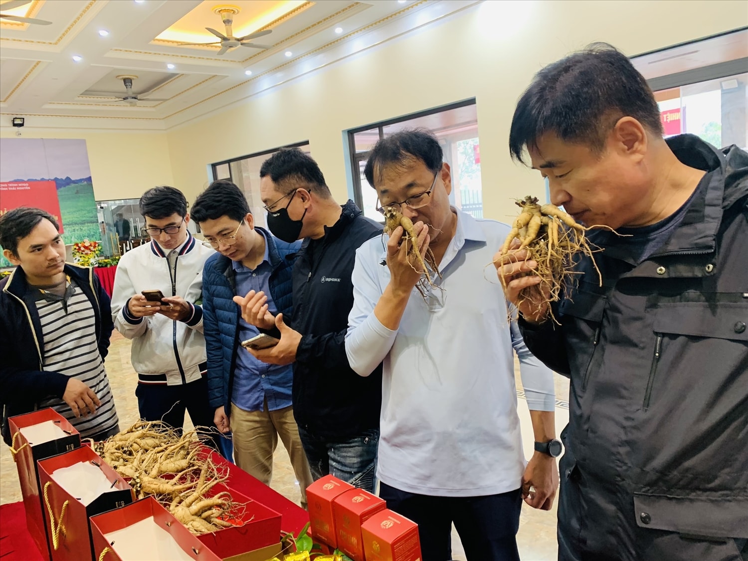 Sâm Bố Chính thu hút khách tìm hiểu, sử dụng