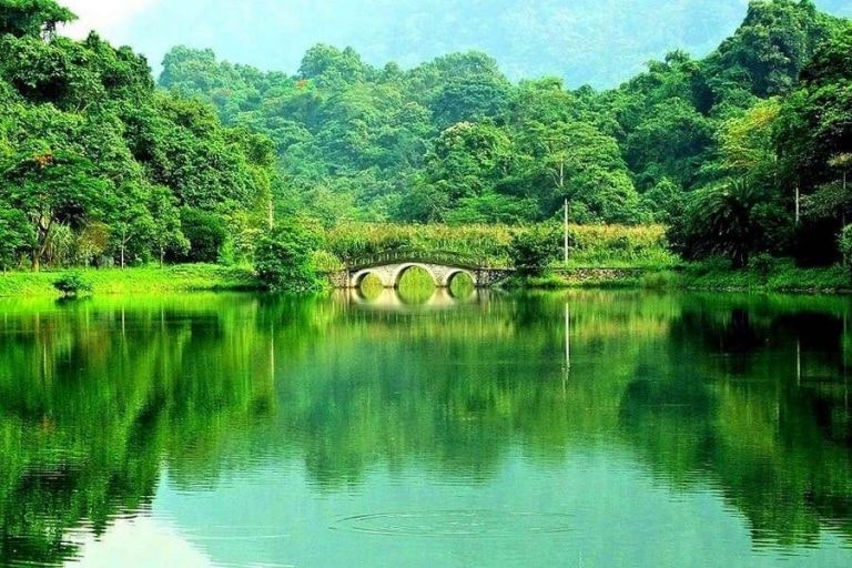 Một góc của Vườn Quốc gia Cúc Phương