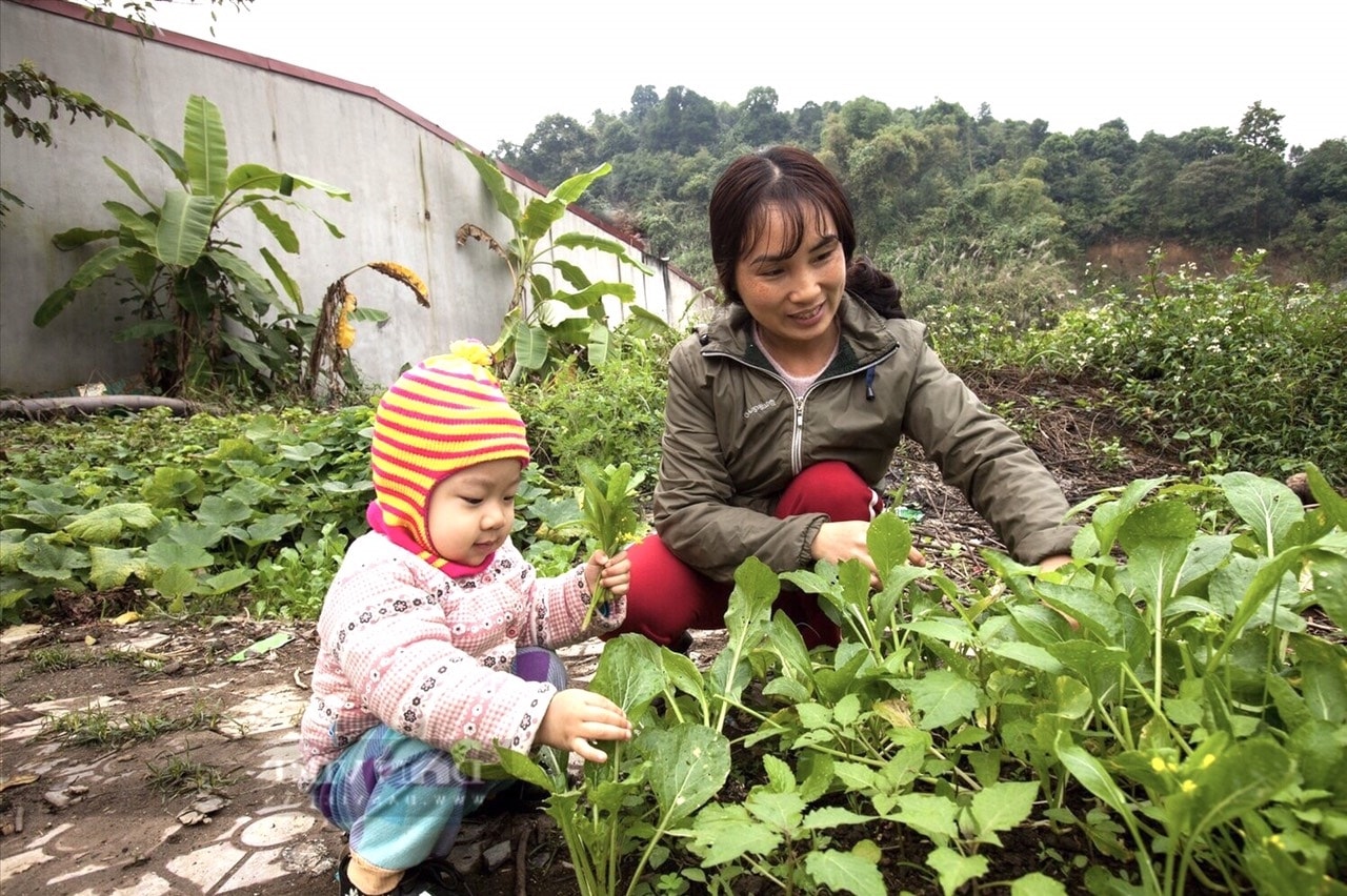 Tham gia các lớp tập huấn, người dân được bồi dưỡng kiến thức và thực hành cải tạo vườn dinh dưỡng.
