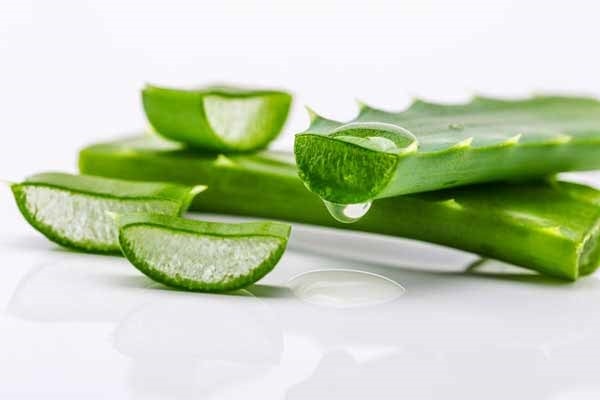 Cách chữa ngứa da vào mùa đông đơn giản, hiệu quả 1