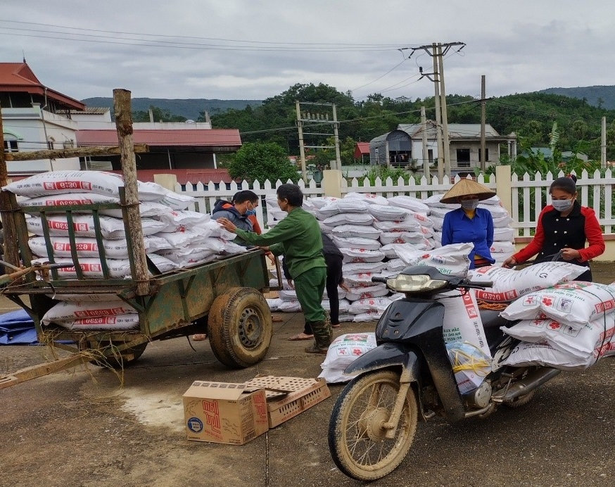  Cung ứng giống gà, thức ăn hỗn hợp giai đoạn 1 cho các hộ tham gia mô hình. (Ảnh TL)
