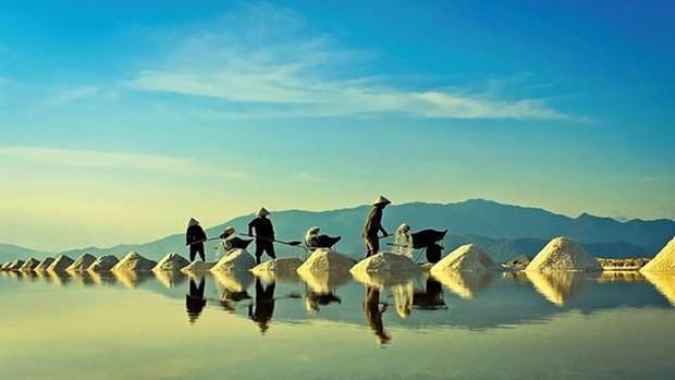 Hình ảnh diêm dân đang thu hoạch muối. (Nguồn: ninhthuan.gov.vn)