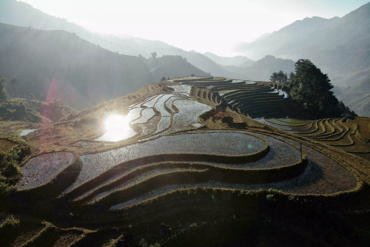 Ruộng bậc thang Mù Cang Chải lung linh trong nắng. Nguồn: AFP