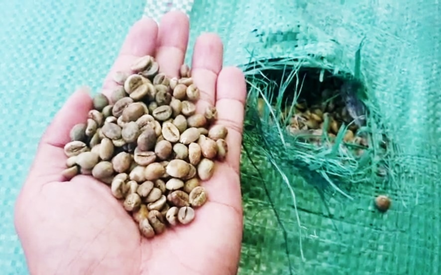 Tổ công tác kiểm đếm số hàng hóa tạm giữ