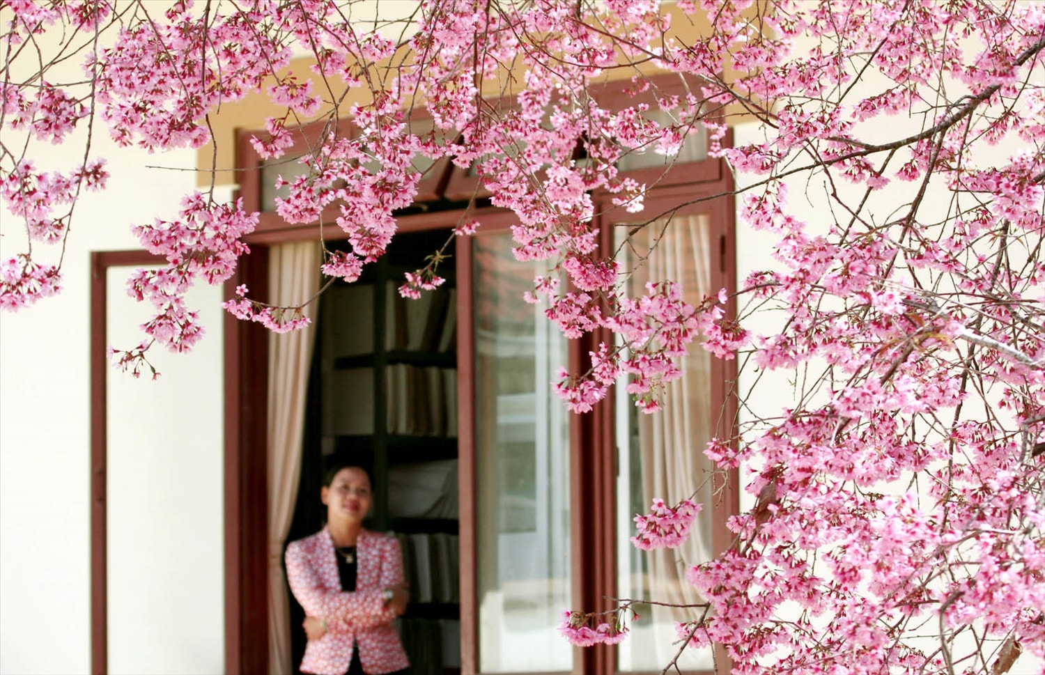 Khung cửa mùa xuân