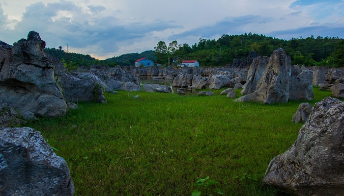 Xung quanh hồ có nhiều thảm cỏ xanh, bằng phẳng, rộng rãi rất phù hợp cho các hoạt động vui chơi dã ngoại CÁC ALBUM KHÁC Xung quanh hồ có nhiều thảm cỏ xanh, bằng phẳng, rộng rãi rất phù hợp cho các hoạt động vui chơi dã ngoại