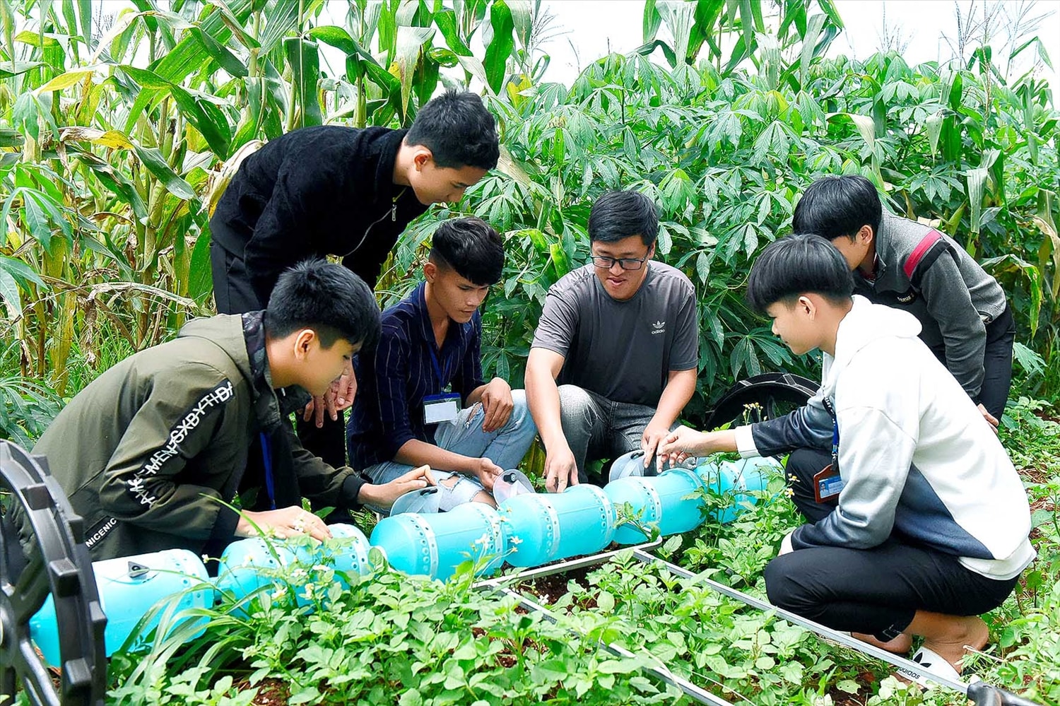 Đào tạo nghề góp phần đẩy nhanh lộ trình cơ giới hóa, áp dụng khoa học kỹ thuật vào sản xuất ở vùng đồng bào DTTS và miền núi. 