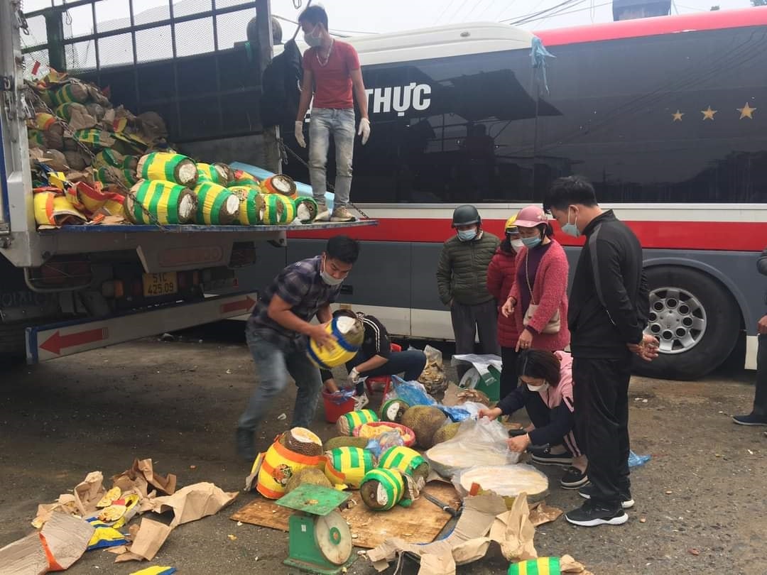  Nhiều chủ hàng mít thái phải nằm chờ dài ngày không thể thông quan ở các cửa khẩu của Lạng Sơn phải 