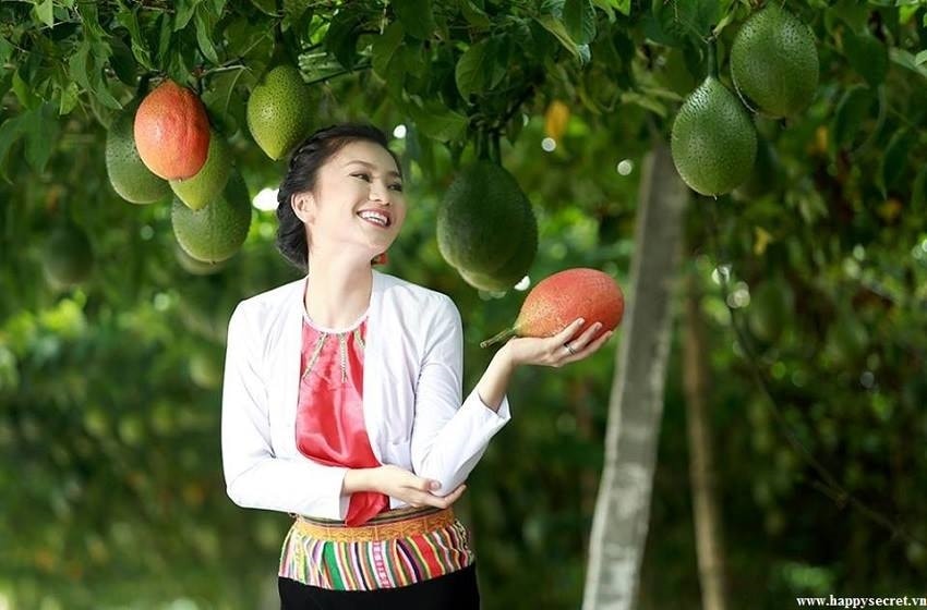 Tác dụng tuyệt vời từ quả gấc  1