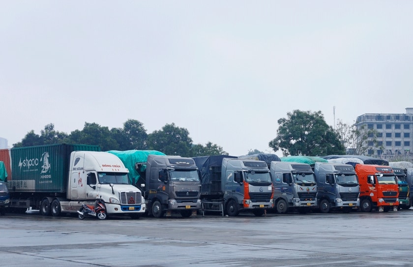 Những chuyến hàng chờ đến lượt thông quan.