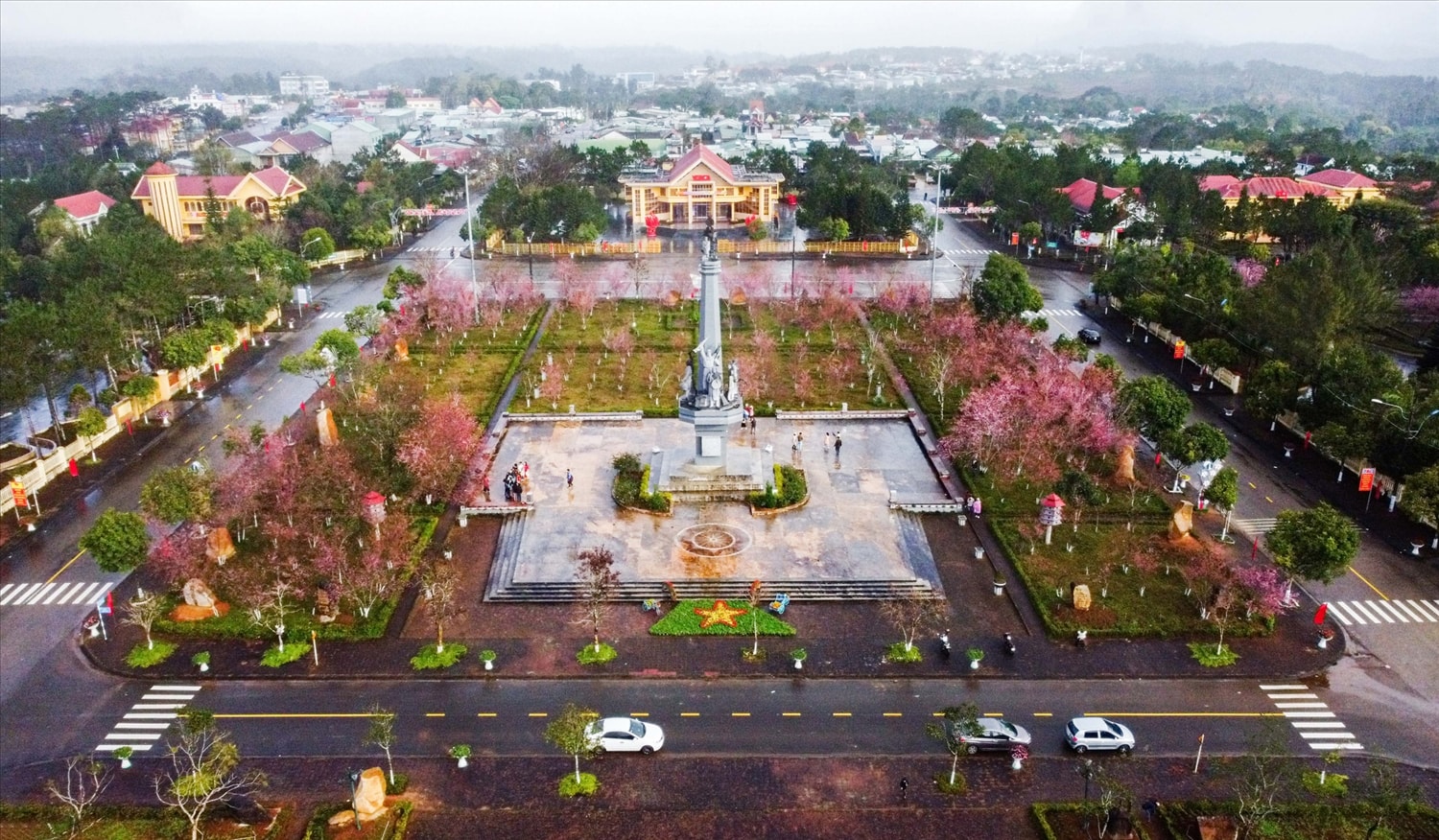Lên Măng Đen ngắm hoa mai anh đào 1