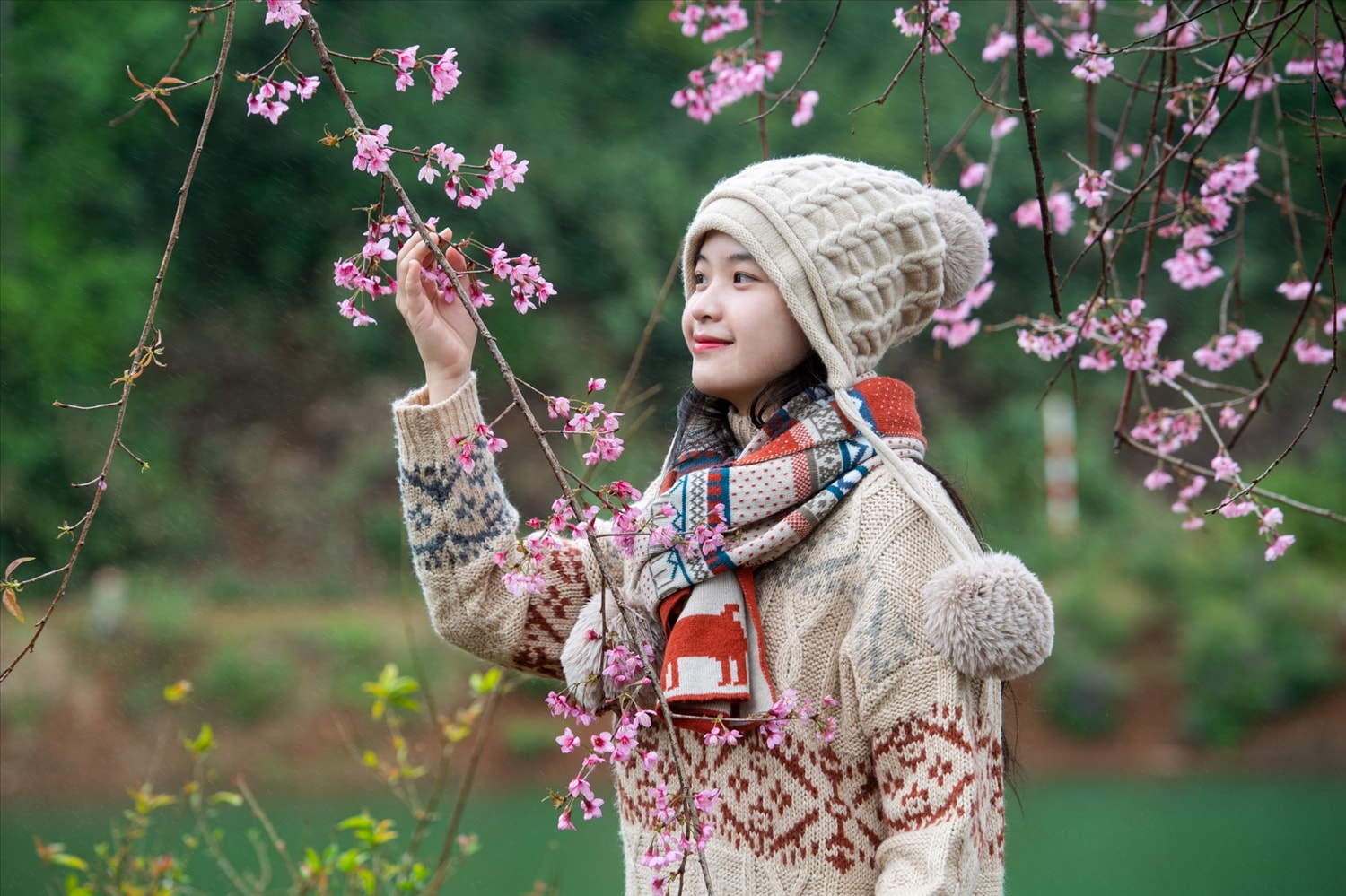 Lên Măng Đen ngắm hoa mai anh đào 5