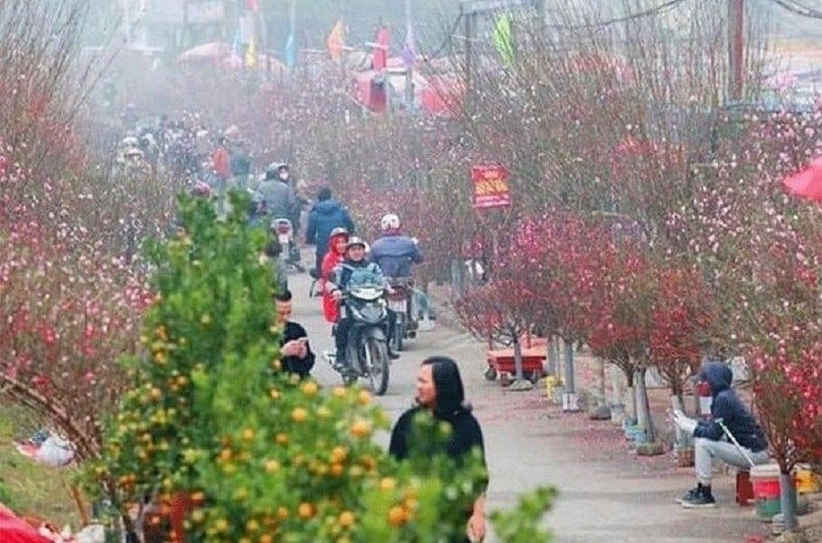 Sẽ có 78 điểm chợ hoa Xuân phục vụ Tết Nguyên đán Nhâm Dần 2022 trên địa bàn TP. Hà Nội. 