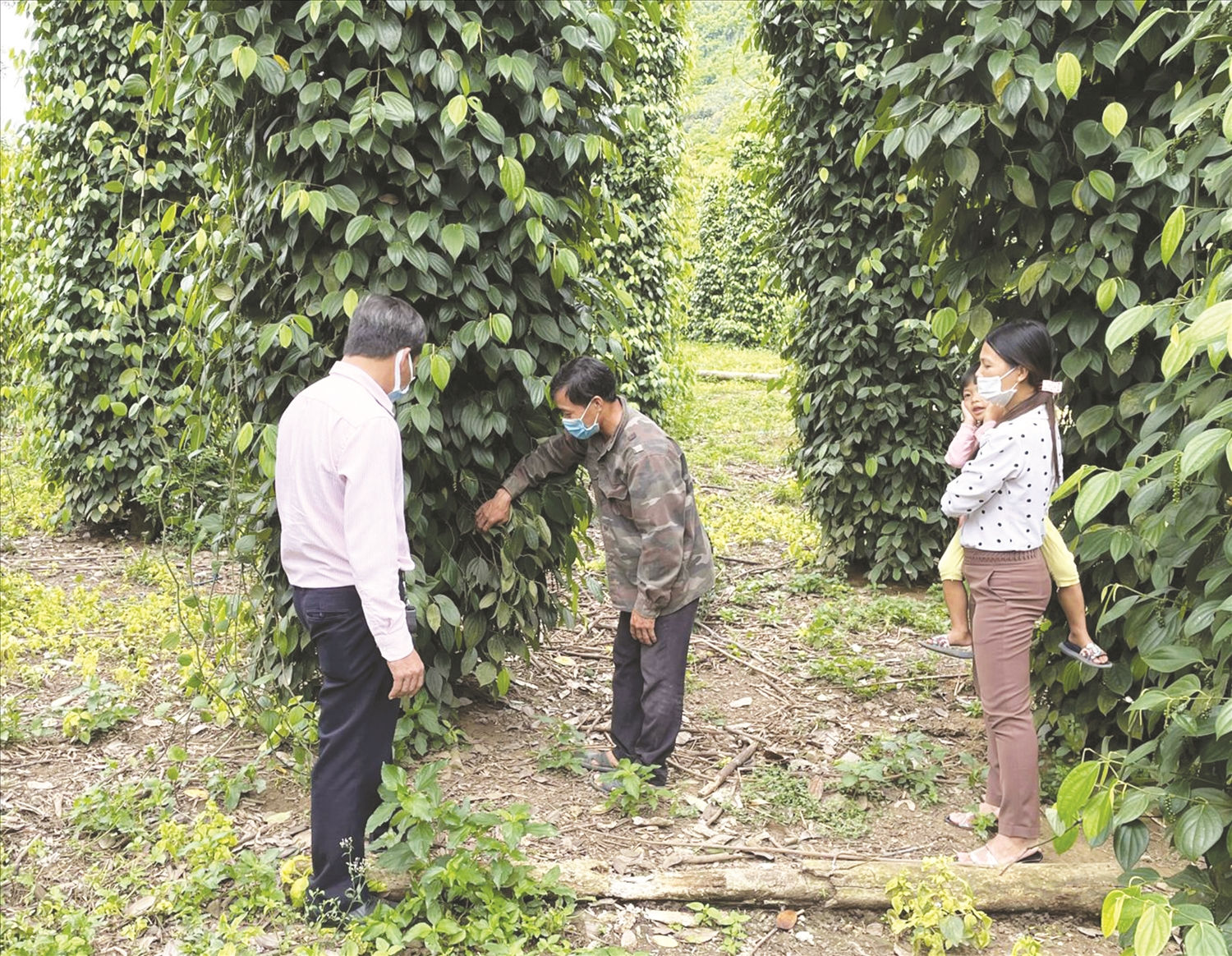 Đã có hơn 5.800 lượt hộ gia đình trên địa bàn tỉnh Đăk Nông được hỗ trợ từ chính sách  hỗ trợ lãi suất vay vốn, với tổng kinh phí gần 29 tỷ đồng.