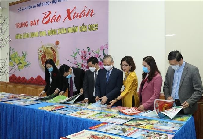 Các đại biểu thăm quan gian trưng bày Hội báo Xuân tỉnh Ninh Bình. Ảnh: Đức Phương/TTXVN