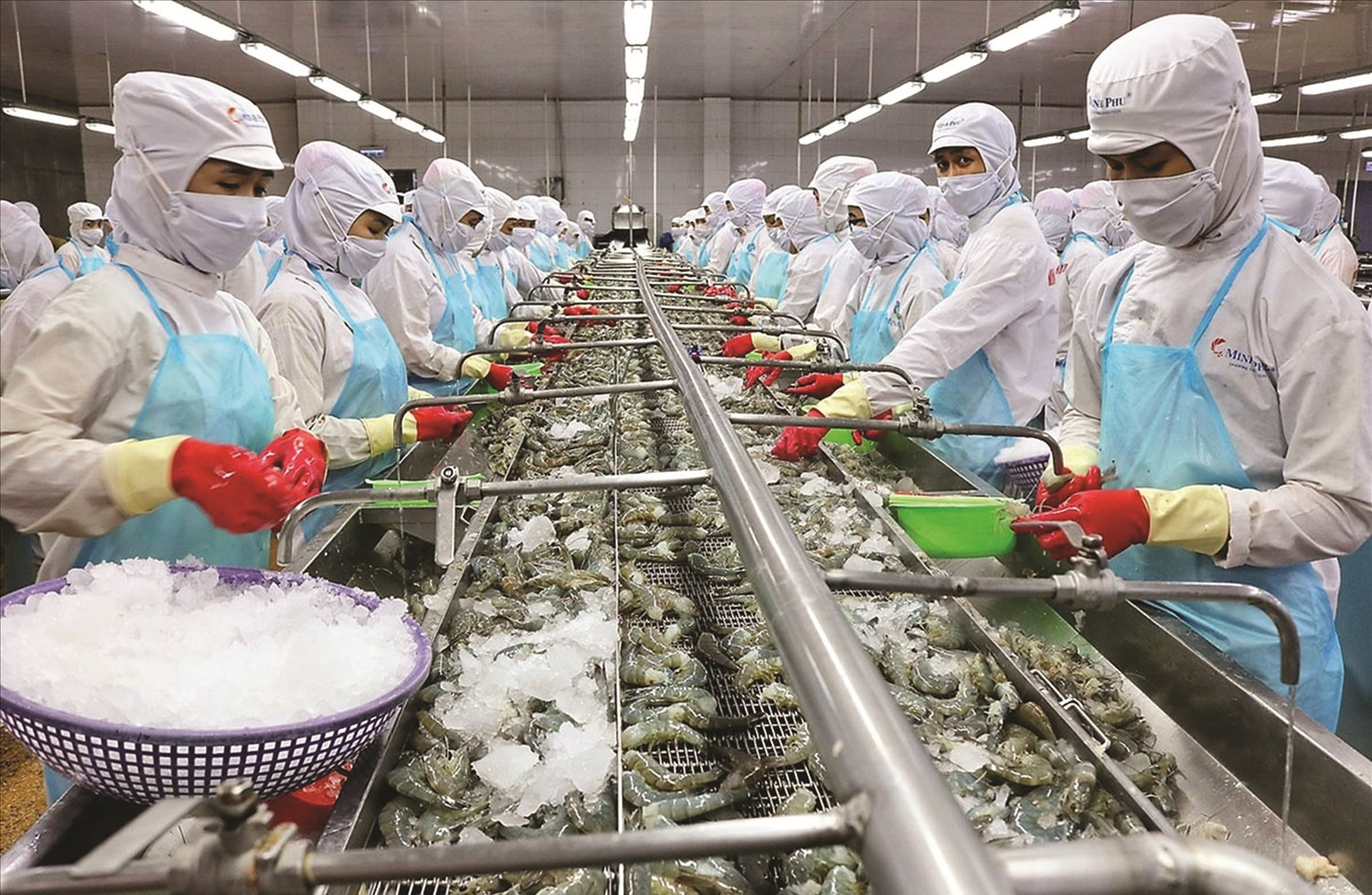 Hoạt động xuất, nhập khẩu trong lĩnh vực thủy sản  vẫn được duy trì, tăng trưởng.