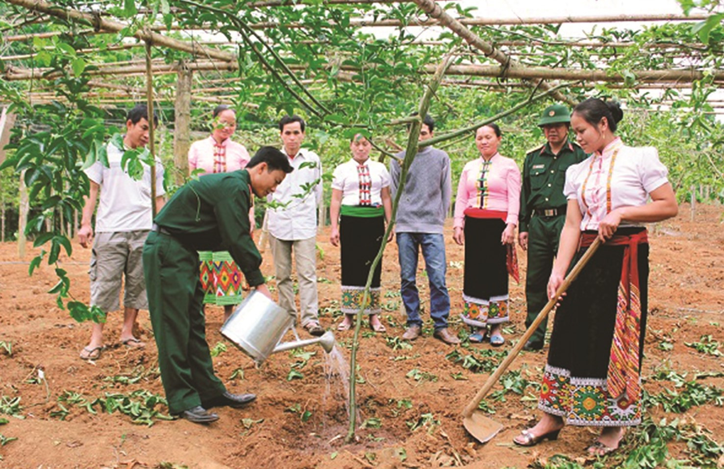 Đồng bào DTTS vùng biên xã Tri Lễ, huyện Quế Phong, tỉnh Nghệ An  đổi đời nhờ mô hình cây chanh leo