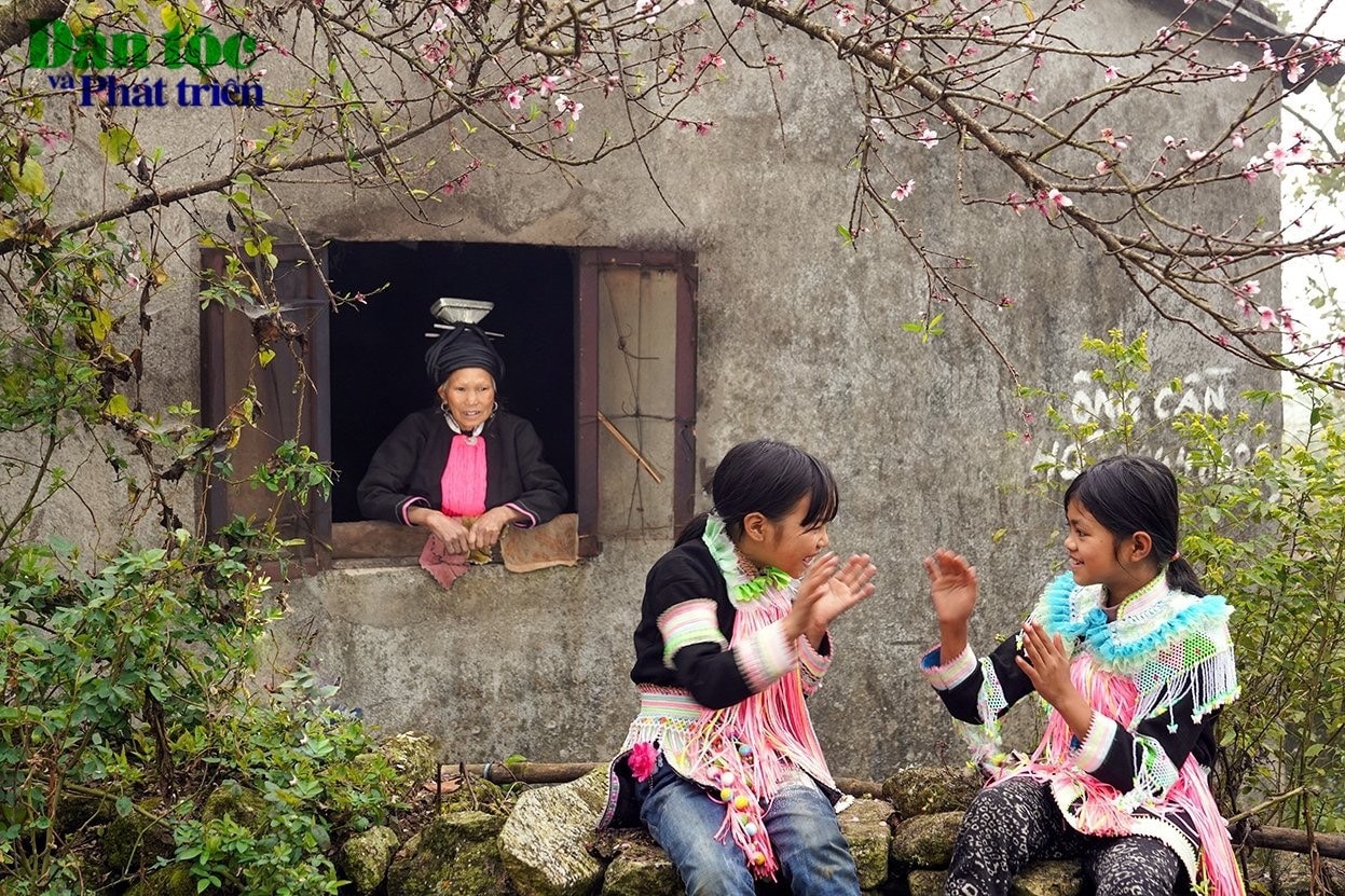 Mùa xuân bên hàng rào đá
