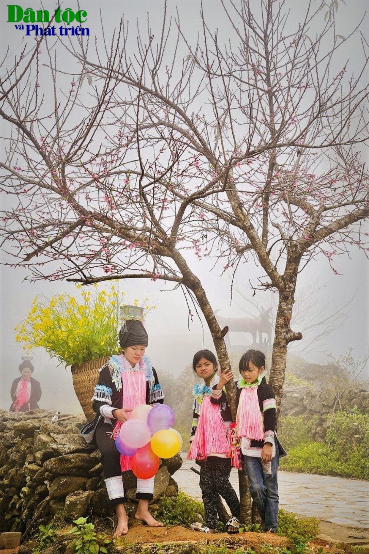 Sì Thâu Chải không chỉ có các loài hoa đẹp mà nơi đây còn độc đáo bởi những con đường đá quanh co, sạch sẽ