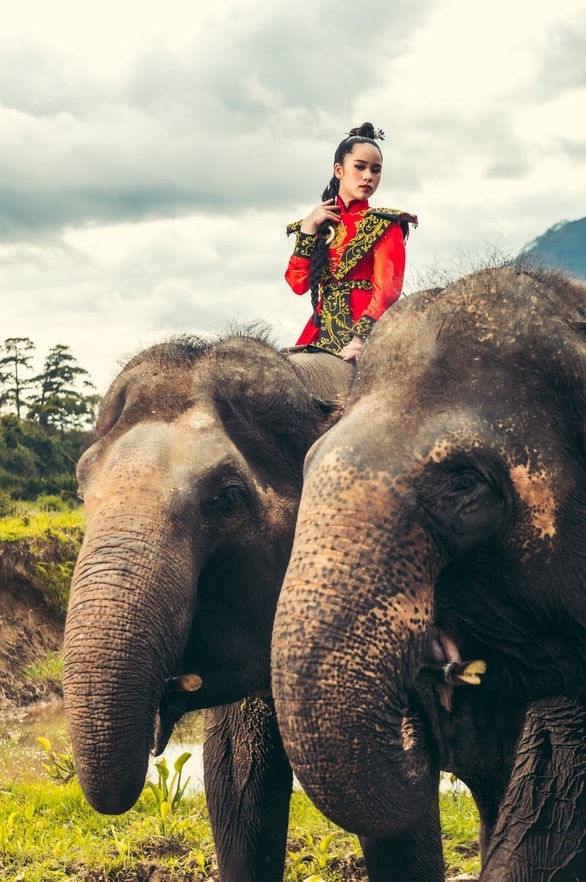 Nhà thiết kế Phương Hồ đưa câu chuyện lịch sử và văn hóa vào thời trang áo dài 10