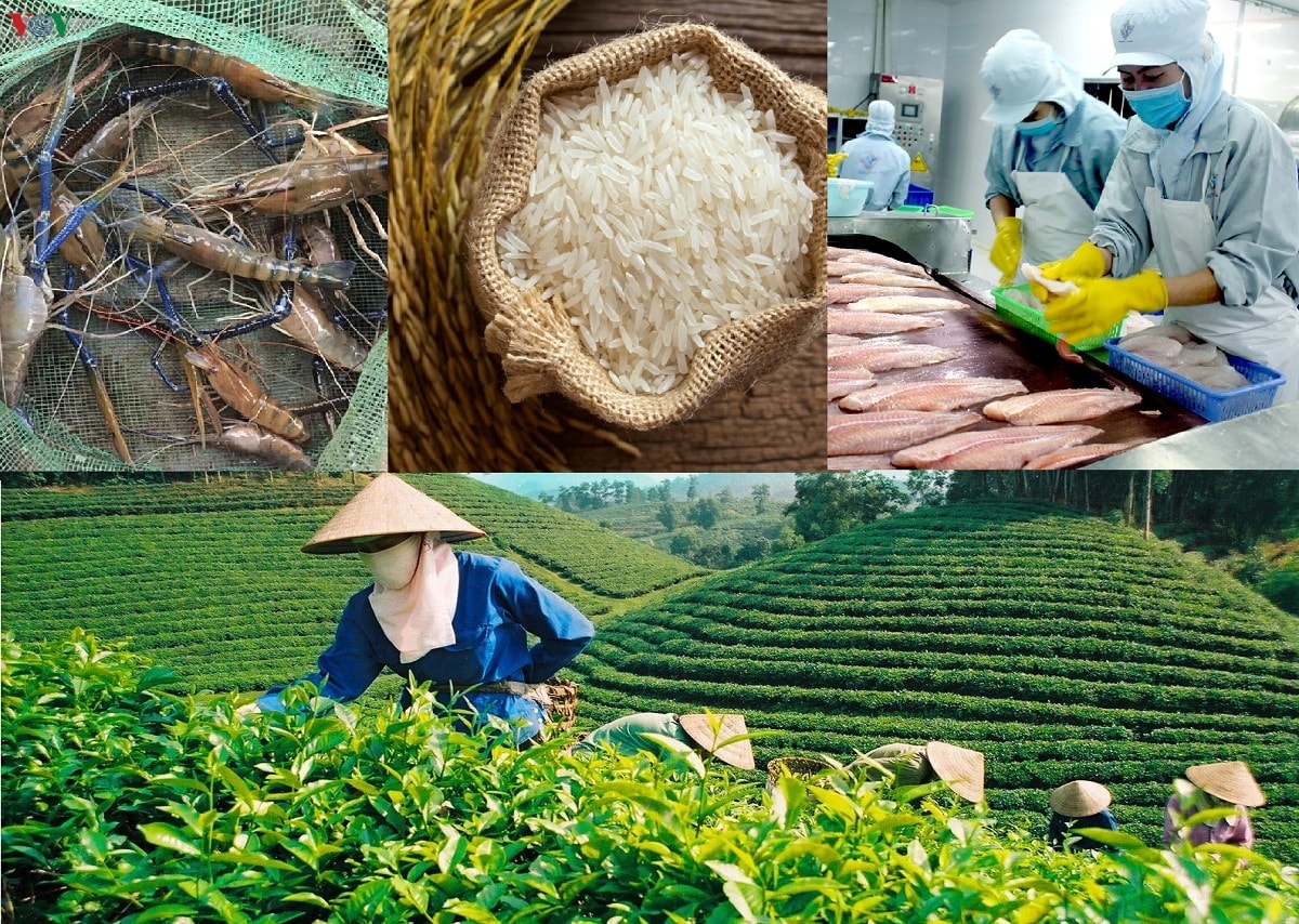 Hơn 1.600 mã sản phẩm nông sản, thực phẩm được xuất khẩu sang Trung Quốc Hơn 1.600 mã sản phẩm nông sản, thực phẩm được xuất khẩu sang Trung Quốc