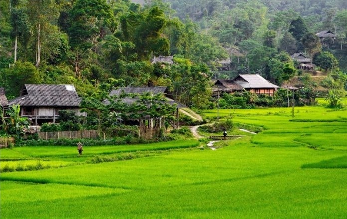 Bản Mòng là một điểm đến hấp dẫn ở Sơn La  