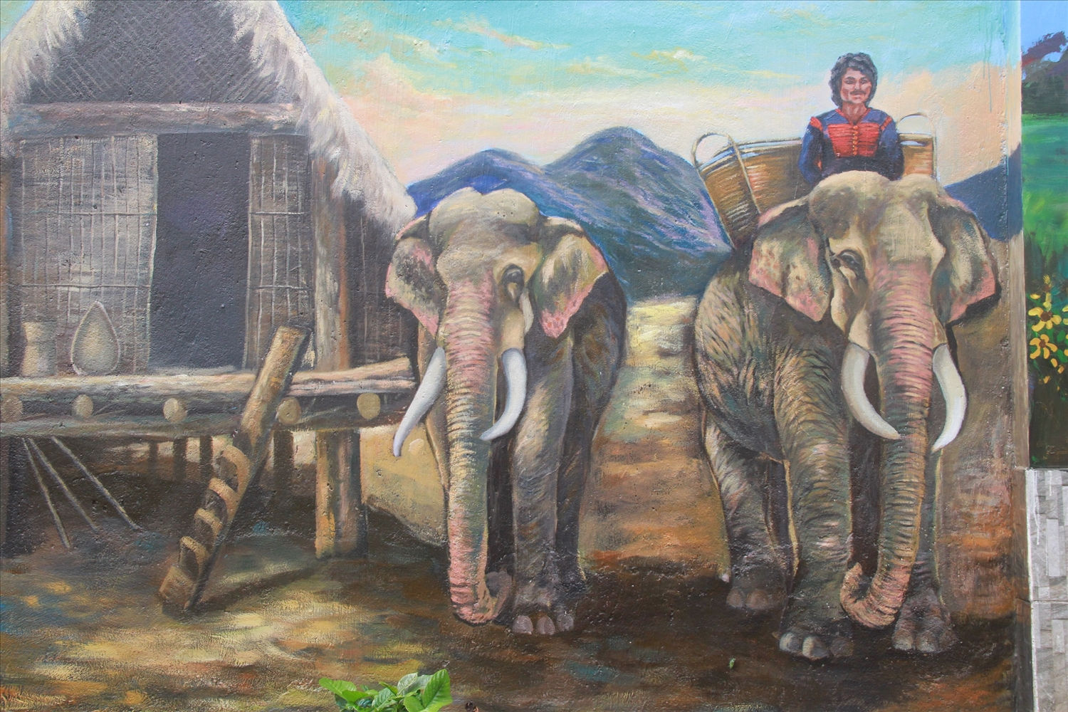 Những chú voi Tây Nguyên