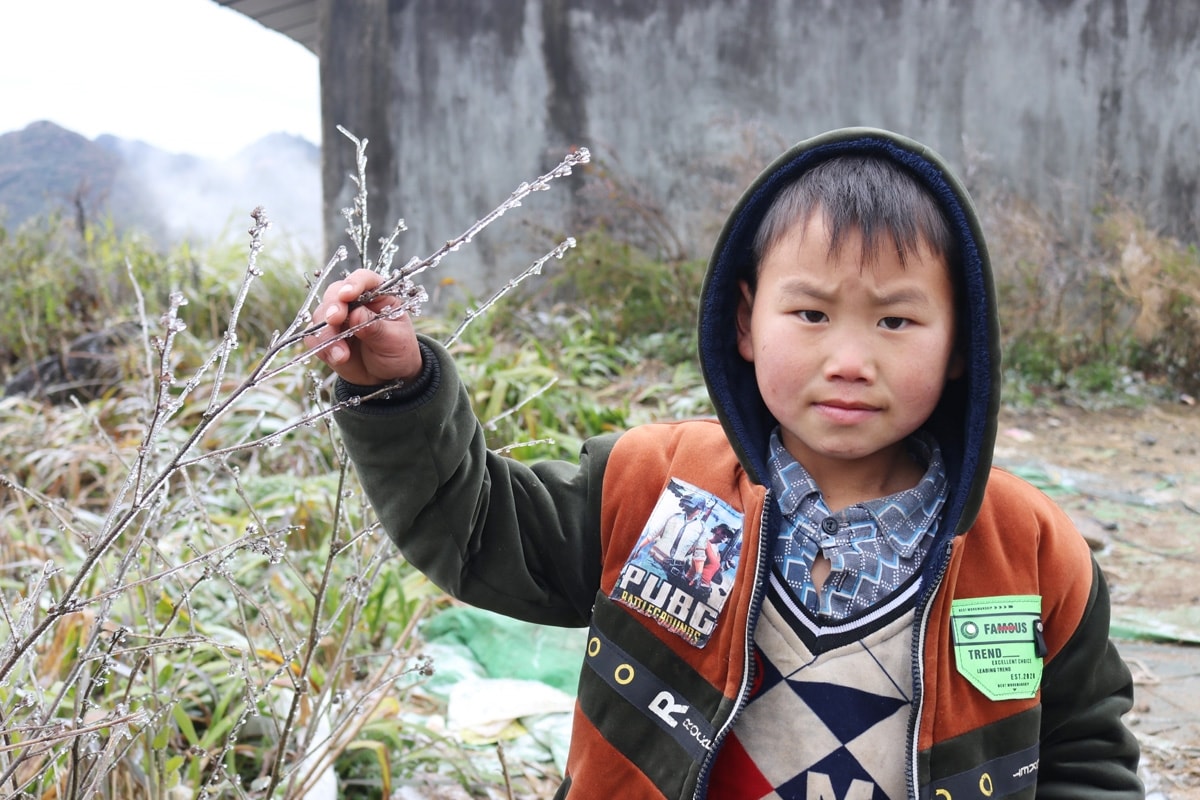 (TIN) Hà Giang: Huyện biên giới Mèo Vạc xuất hiện băng giá trên diện rộng 7