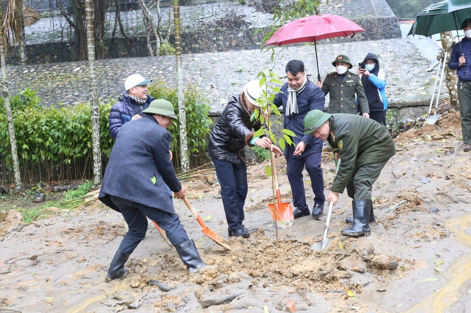Mùa Xuân là Tết trồng cây... Mùa Xuân là Tết trồng cây...
