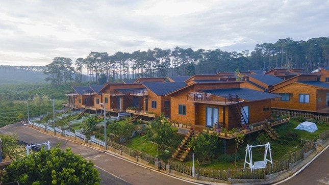 Nhiều bạn trẻ bị choáng ngợp bởi không gian xanh cũng như thời tiết của xứ ngàn hoa.