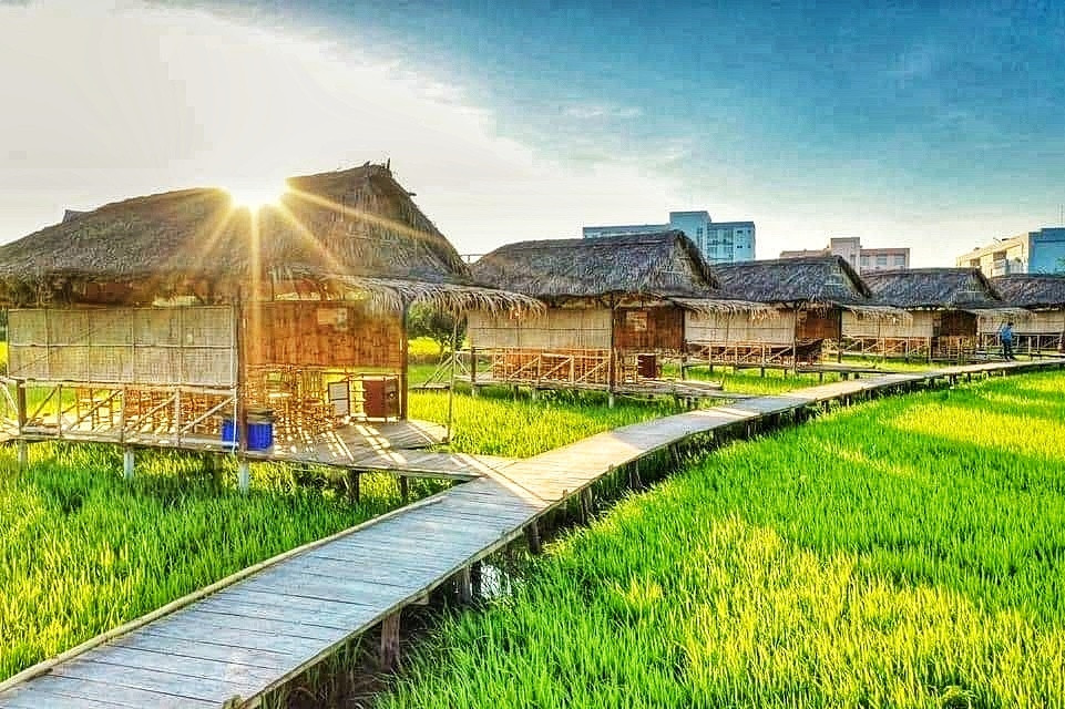 Nắm bắt tâm lý du khách nhiều nhà vườn đã cho xây dựng các tiểu cảnh trên ruộng lúa để thu hút khách du lịch