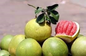 Những loại trái cây nào giúp hạ sốt tốt nhất? 3