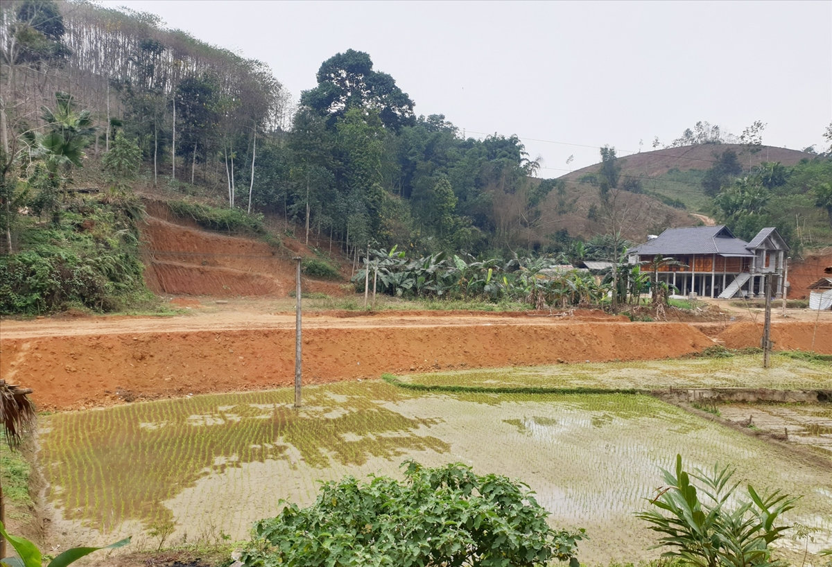 Phong trào hiến đất làm đường giao thông đã và đang lan tỏa rộng khắp ở Phan Thanh và Tân Lập