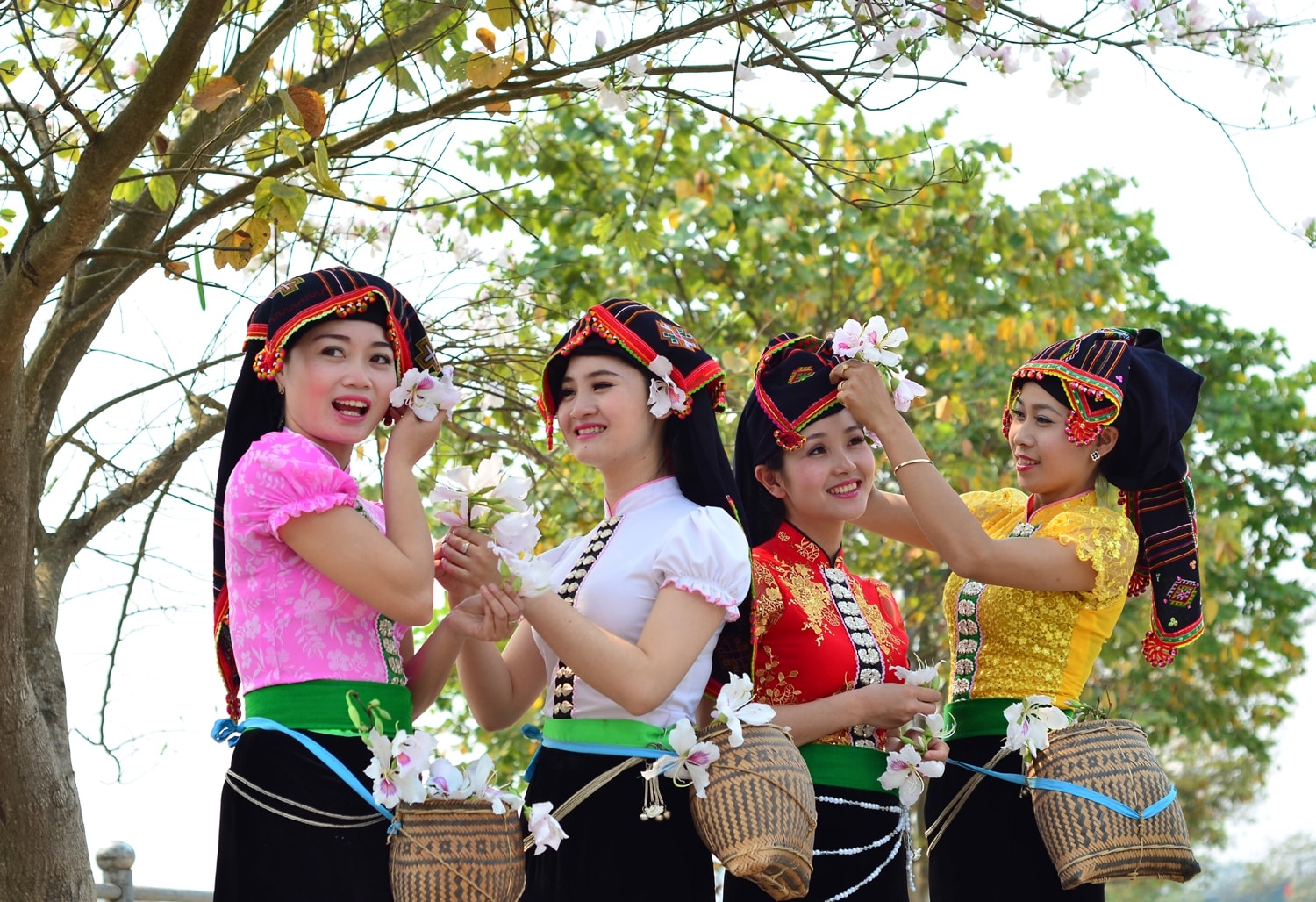Cuộc thi Người đẹp Hoa Ban 2022 sẽ không được tổ chức trong Lễ hội Hoa Ban 