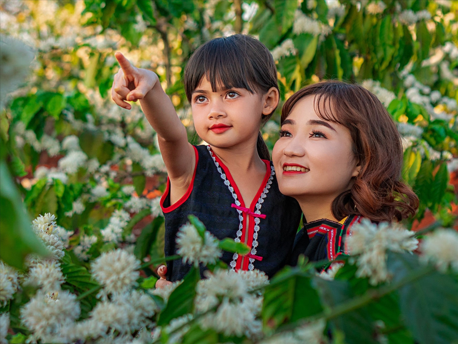 Bé Siu Ri A vui đùa trên rẫy cà phê ra hoa trắng ngần Bé Siu Ri A vui đùa trên rẫy cà phê ra hoa trắng ngần
