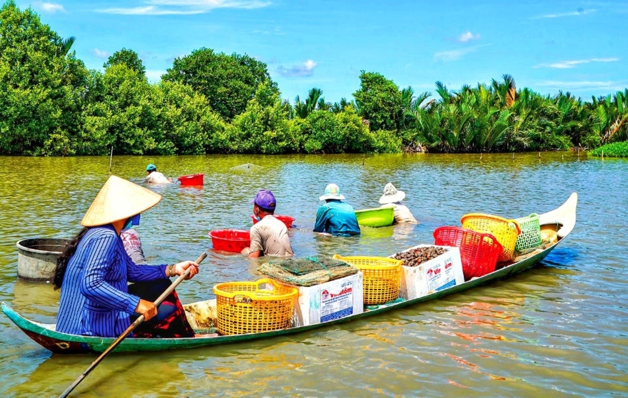 Đồng bào vùng U Minh đã linh hoạt, thích ứng trong sản xuất mang lại hiệu quả kinh tế 
