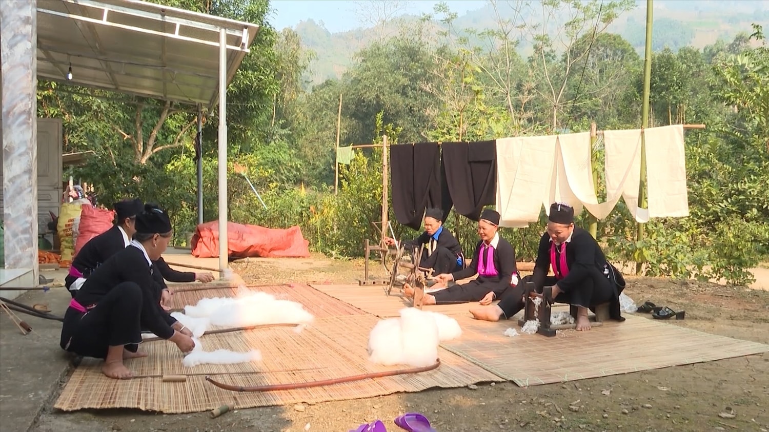 Phụ nữ Dao tuyển ở bản Mo ai cũng biết trồng bông dệt vải Phụ nữ Dao tuyển ở bản Mo ai cũng biết trồng bông dệt vải